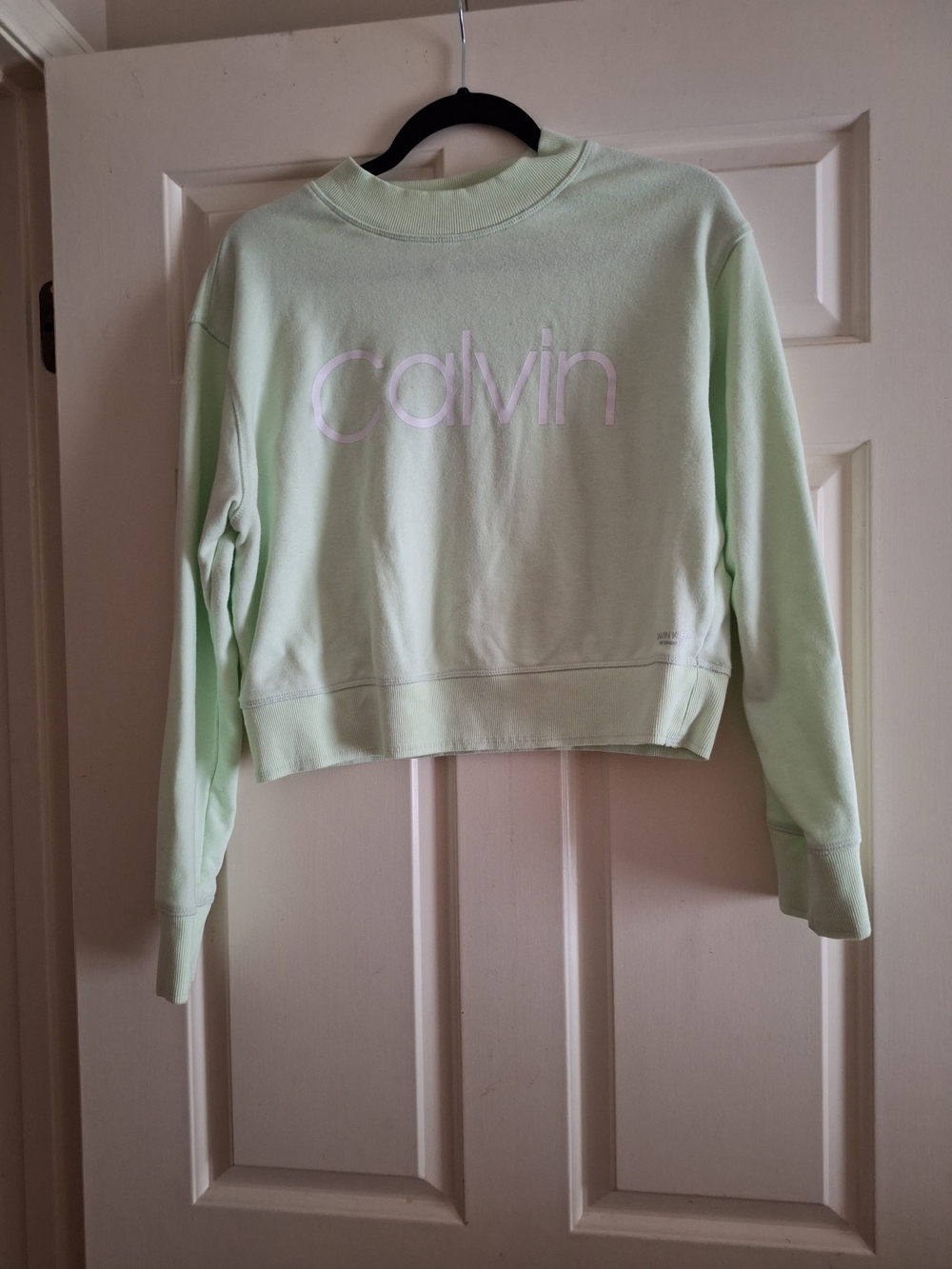 Calvin Klein Pale Mint Cropped Sweatshirt